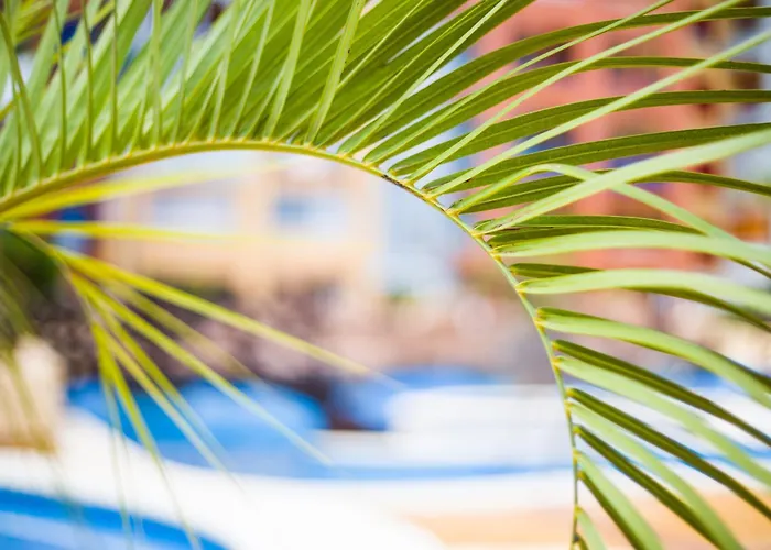 Turistico Verdemar 2 *